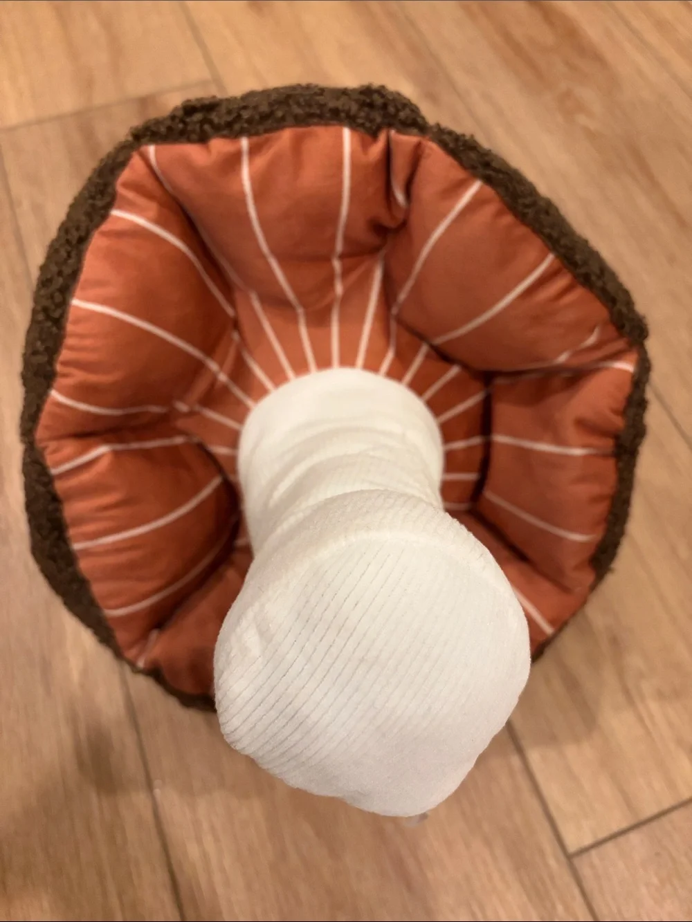 Mushroom Accent novelty pillow